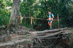 BIB: 
                            <button type="button" onclick="openModal(27752992)" class="btn btn-primary btn-sm float-right btn-popup" data-toggle="modal" data-target=".modal-high-quality">
                        <i class="fas fa-shopping-cart"></i> Add to Cart
                    </button>
                                            <button type="button" onclick="isThisMe(27752992, true)" class="btn btn-success btn-sm float-right btn-popup btn-isme hidden" data-toggle="tooltip" data-placement="bottom" title="นี่คือรูปของคุณใช่ไหม คลิกที่นี่เพื่อเอาเข้าอัลบั้ม">
                        <i class="fas fa-plus"></i> Add to album
                    </button>
                    <button type="button" onclick="isThisMe(27752992, false)" class="btn btn-warning btn-sm float-right btn-popup btn-isnotme hidden">
                        <i class="fas fa-ban"></i> Remove from album
                    </button>